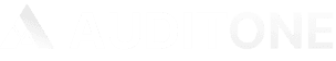 AuditOne